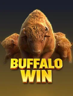Buffalo Win artwork published by PG SOFT
