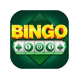 Bingo 101 profile artwork